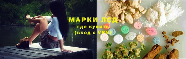 винт Инта