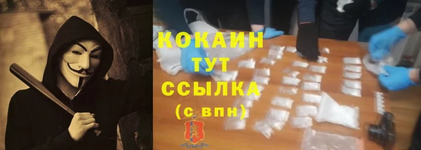 винт Инта