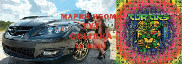 гидра Иннополис