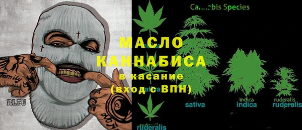 винт Инта