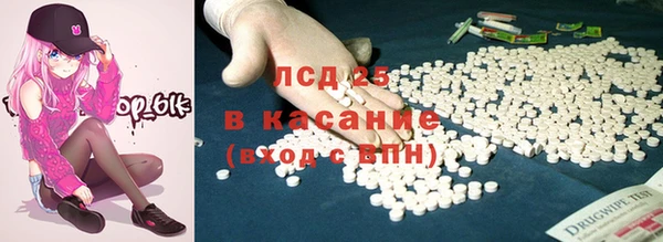 винт Инта