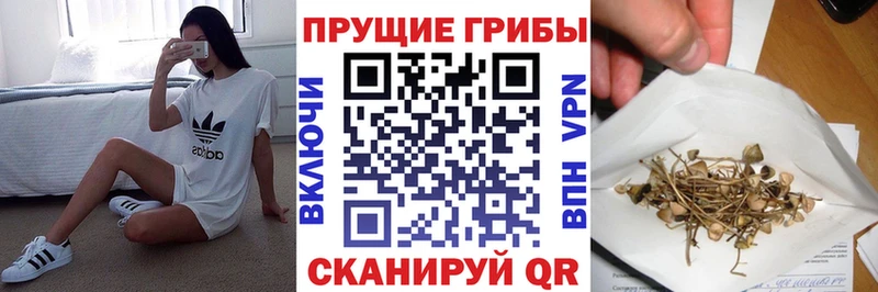 Галлюциногенные грибы мицелий  Купить  Аткарск 