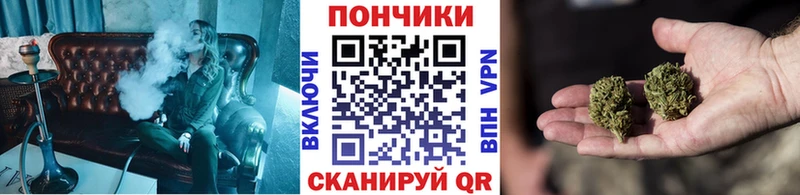 Купить  Аткарск  Бошки марихуана MAZAR 